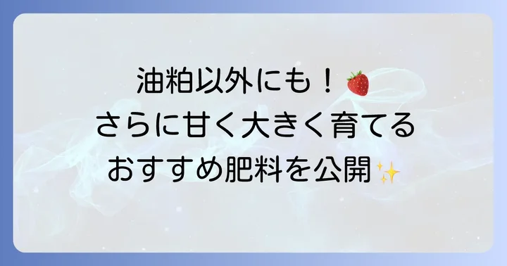 油粕以外でイチゴにおすすめの有機追肥