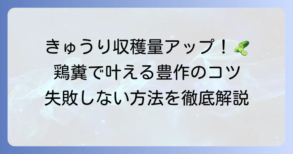 きゅうりの追肥には鶏糞で収穫量アップ！失敗しない使い方と注意点を徹底解説