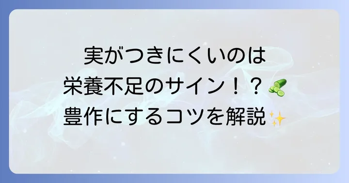 きゅうりの健やかな成長に追肥が欠かせない理由