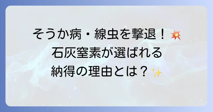 ジャガイモの病害虫対策に石灰窒素が選ばれる理由