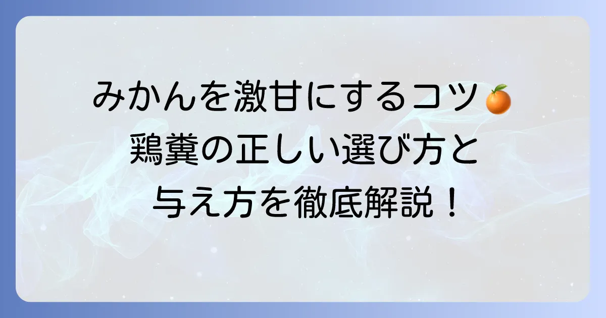 みかんの肥料に鶏糞を使うコツ!甘くて美味しい実を育てる方法を徹底解説