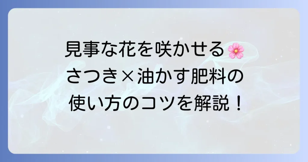 さつきへの油かす肥料の正しい使い方と効果を徹底解説