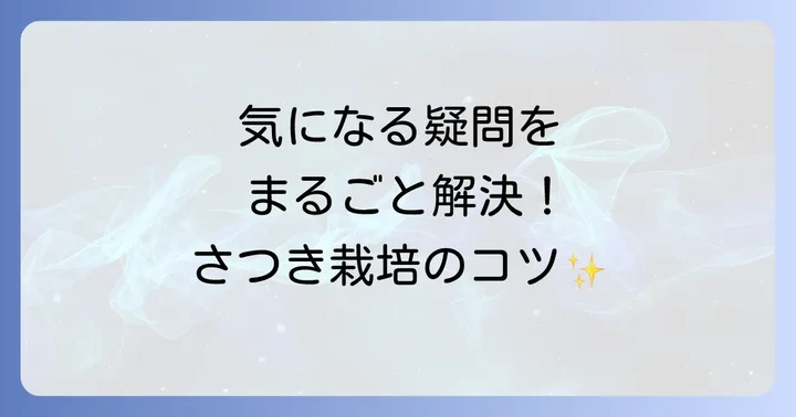 よくある質問
