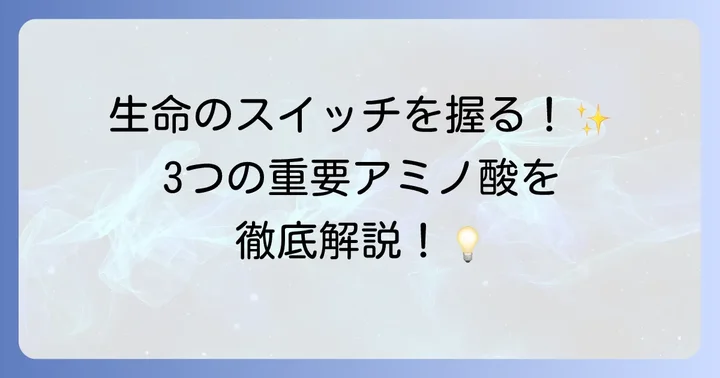 主要なヒドロキシ基を持つアミノ酸の種類と特徴