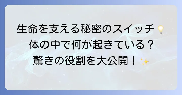 ヒドロキシ基を持つアミノ酸の生体における重要な役割