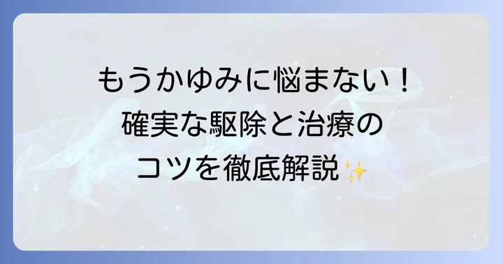 ヒゼンダニの駆除と治療：適切な対処方法