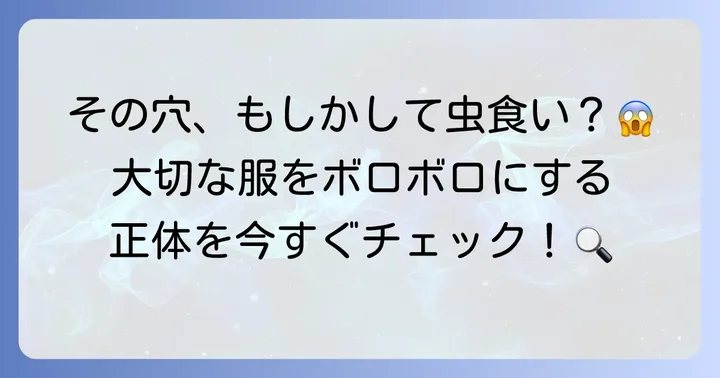 ヒメマルカツオブシムシとは？特徴と被害を知る