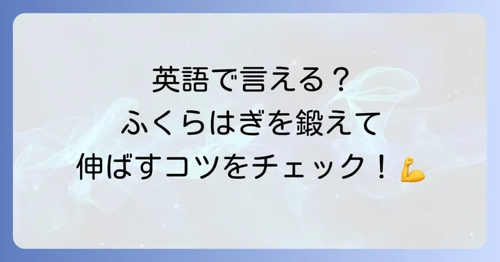 英語で学ぶ腓腹筋のトレーニングとストレッチ