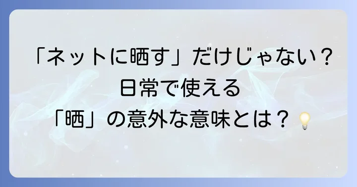 「晒」を使った身近な言葉と例文