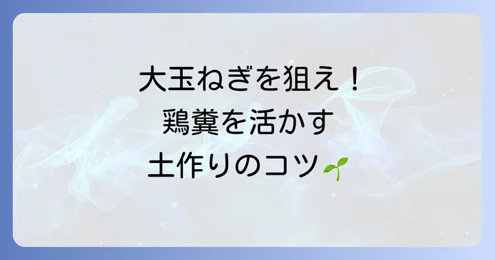 玉ねぎの土作り具体的な進め方:鶏糞を活かす手順