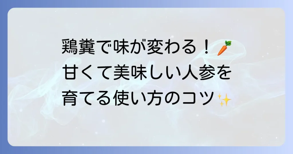 人参肥料に鶏糞を使って甘くて美味しい人参を育てるコツと注意点