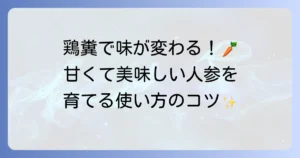 人参肥料に鶏糞を使って甘くて美味しい人参を育てるコツと注意点
