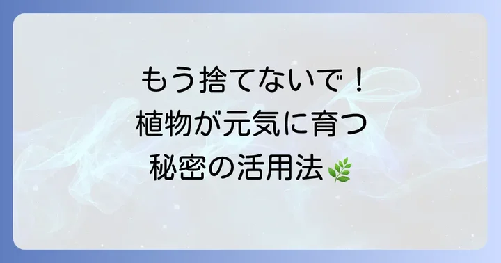 シリカゲルは植物の強い味方?その特性と再利用の魅力