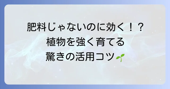 シリカゲルを肥料として「活用」する具体的な方法と注意点