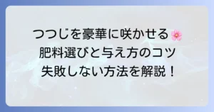 つつじの肥料のおすすめの選び方と与え方で美しい花を咲かせよう