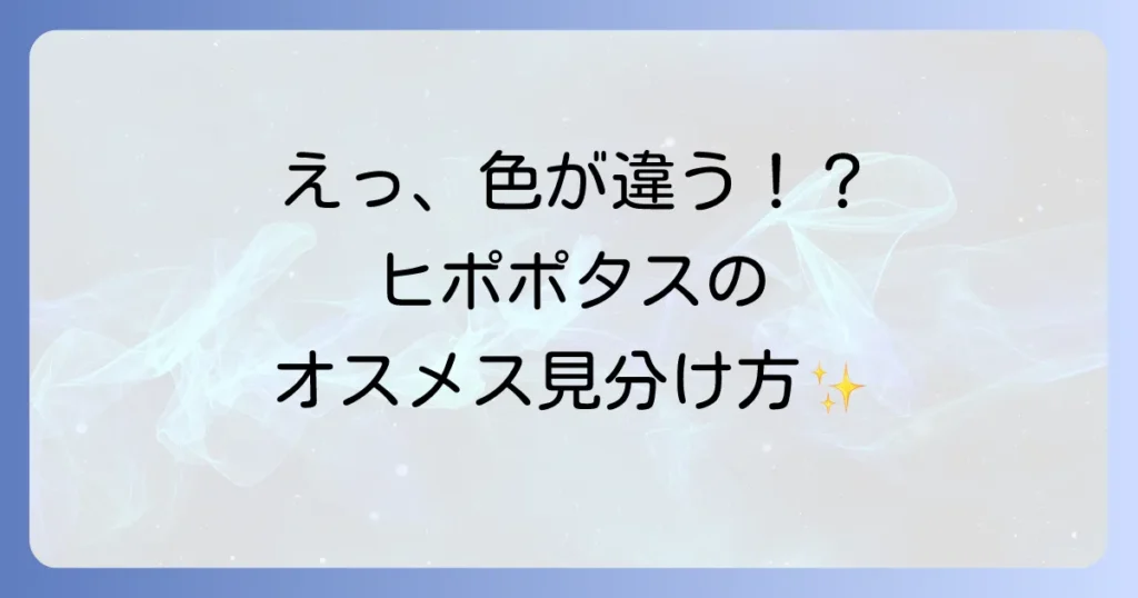 ヒポポタスのオスメスの見分け方は？性別による見た目の違いや特徴を解説