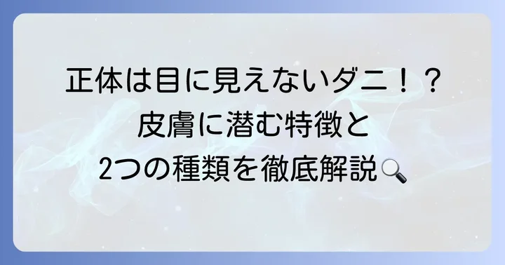ヒゼンダニとは？その特徴と種類