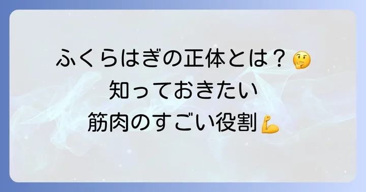腓腹筋とは?ふくらはぎの主要な筋肉の役割