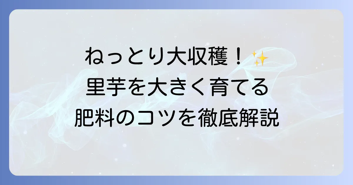里芋にはどんな肥料がいい?元肥と追肥の選び方から大きく育てるコツまで徹底解説