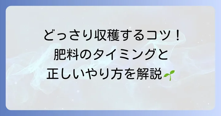 里芋の肥料を与えるタイミングと正しいやり方