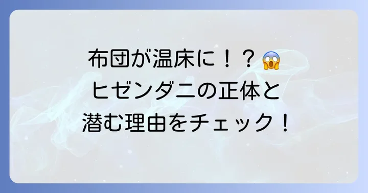 ヒゼンダニとは？布団との関係性を知る