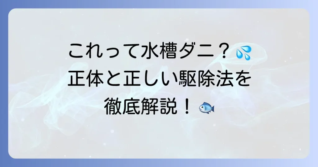 水槽に発生するダニのような虫の正体と駆除・予防方法を徹底解説