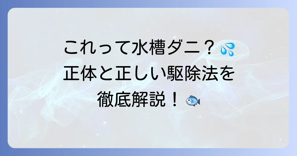 水槽に発生するダニのような虫の正体と駆除・予防方法を徹底解説
