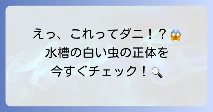 水槽で見かけるダニのような虫の正体とは?