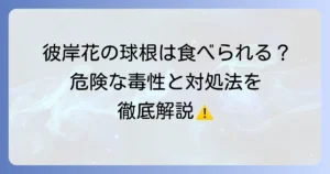 彼岸花の球根は食べられるのか？危険な毒性と誤食時の対処法を徹底解説