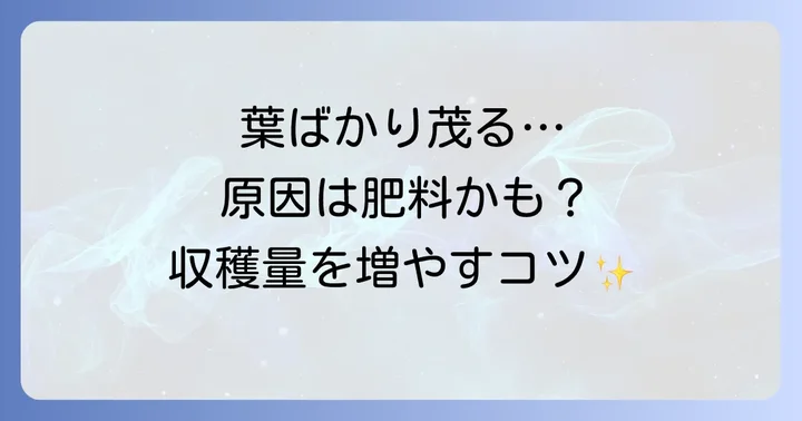 ゴーヤ栽培に肥料が欠かせない理由