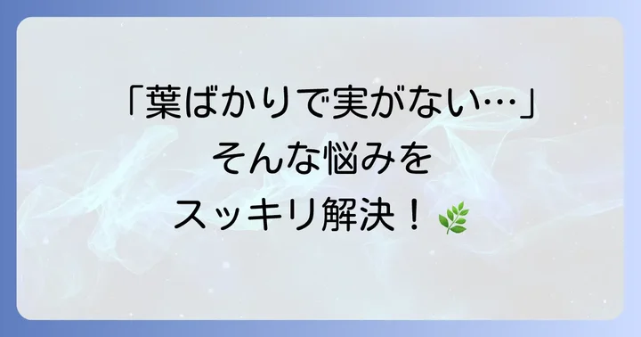 ゴーヤ栽培でよくある肥料の悩みと解決策