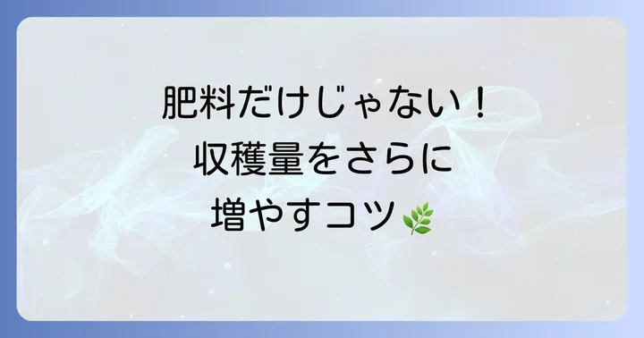 ゴーヤを元気に育てるためのその他のコツ
