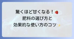 イチゴを甘くするための肥料の選び方と効果的な使い方の徹底解説