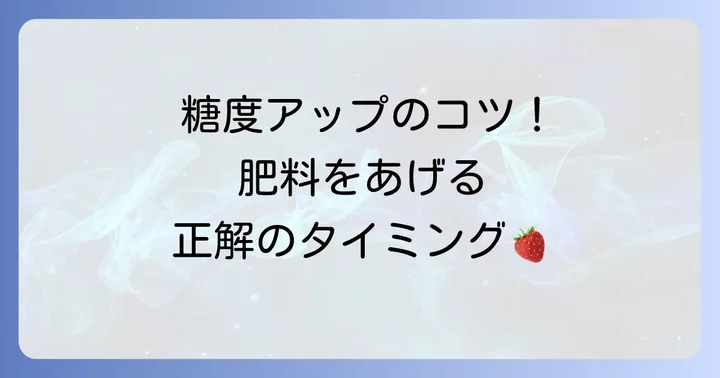 イチゴを甘くする肥料の効果的な使い方と時期