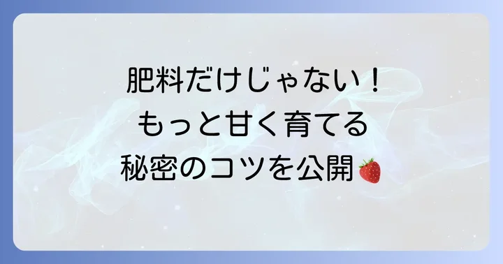 肥料以外でイチゴの甘さを引き出す栽培のコツ