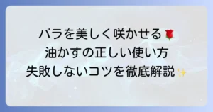 バラの肥料に油かすを使うための徹底解説！美しいバラを咲かせるためのコツと注意点