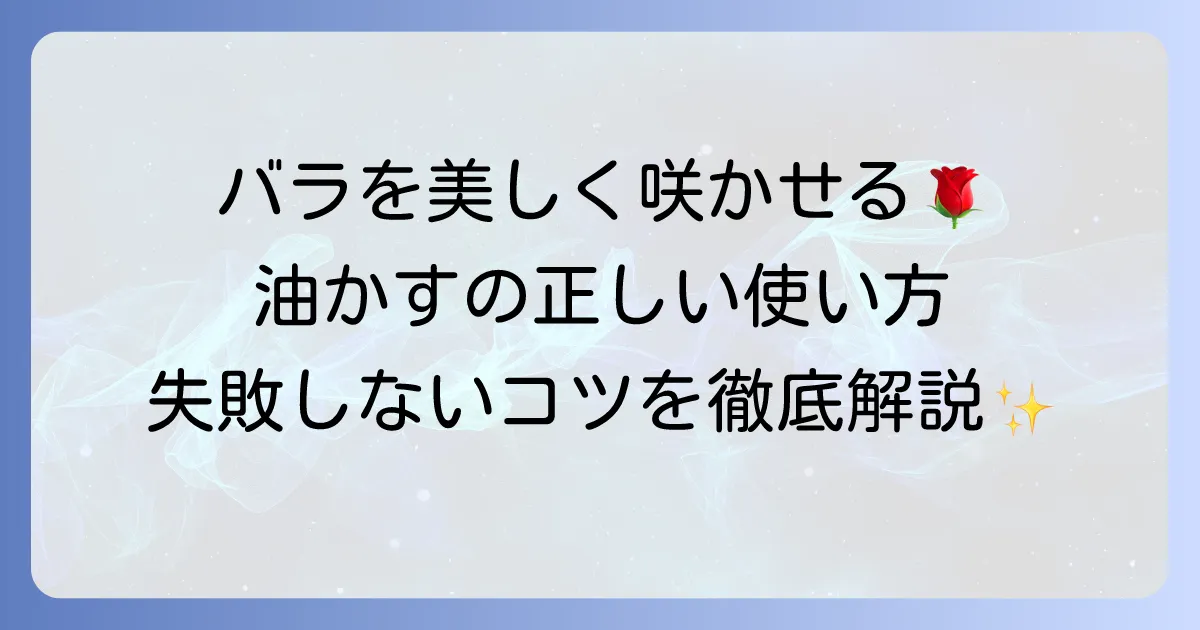 バラの肥料に油かすを使うための徹底解説！美しいバラを咲かせるためのコツと注意点