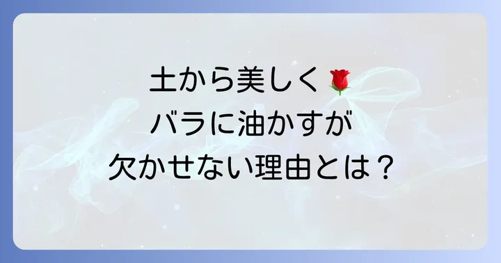 バラの肥料に油かすがおすすめな理由