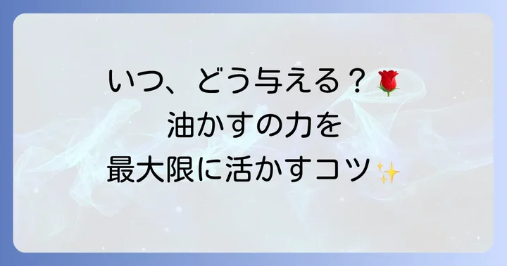 バラに油かすを与える時期と正しい使い方