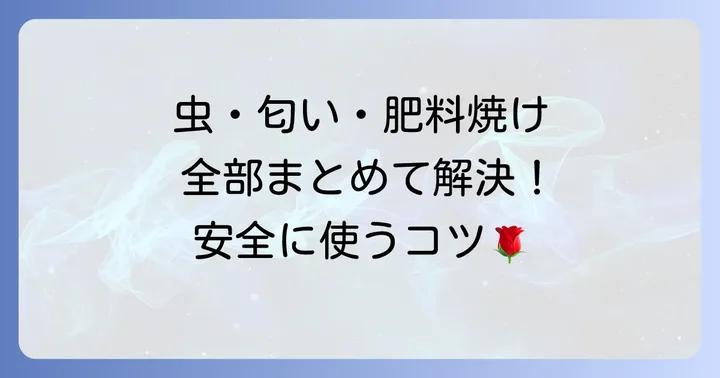 油かすを使う際の注意点と対策
