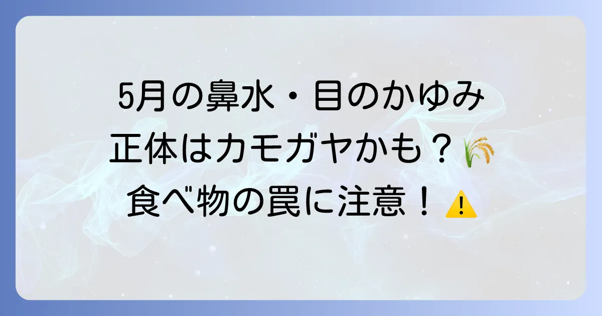 5月は花粉のカモガヤに要注意！症状と対策、口腔アレルギー症候群を徹底解説
