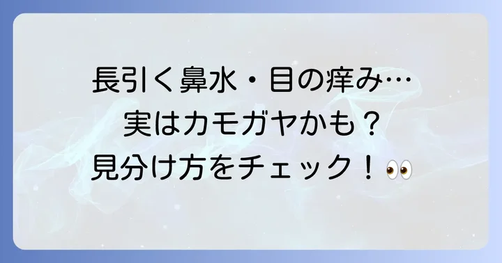 カモガヤ花粉症の主な症状と見分け方
