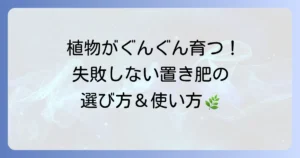 置き肥のおすすめを徹底解説！選び方と効果的な使い方で植物を元気に