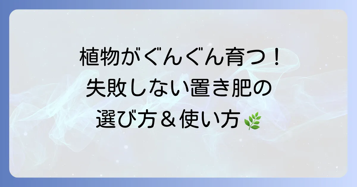 置き肥のおすすめを徹底解説！選び方と効果的な使い方で植物を元気に