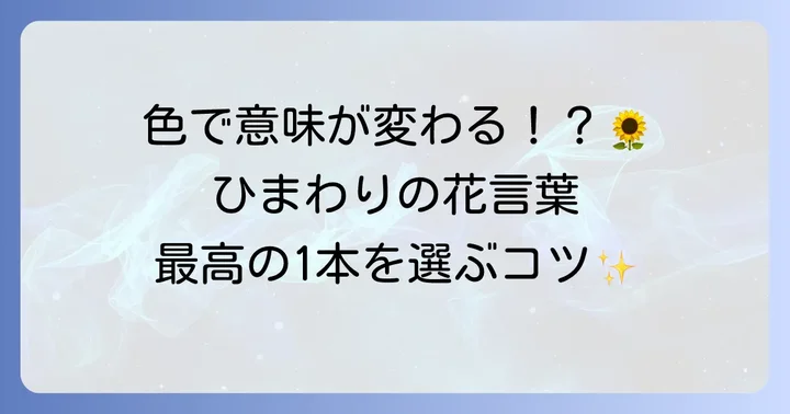 【色別】ひまわりの花言葉と選び方のコツ